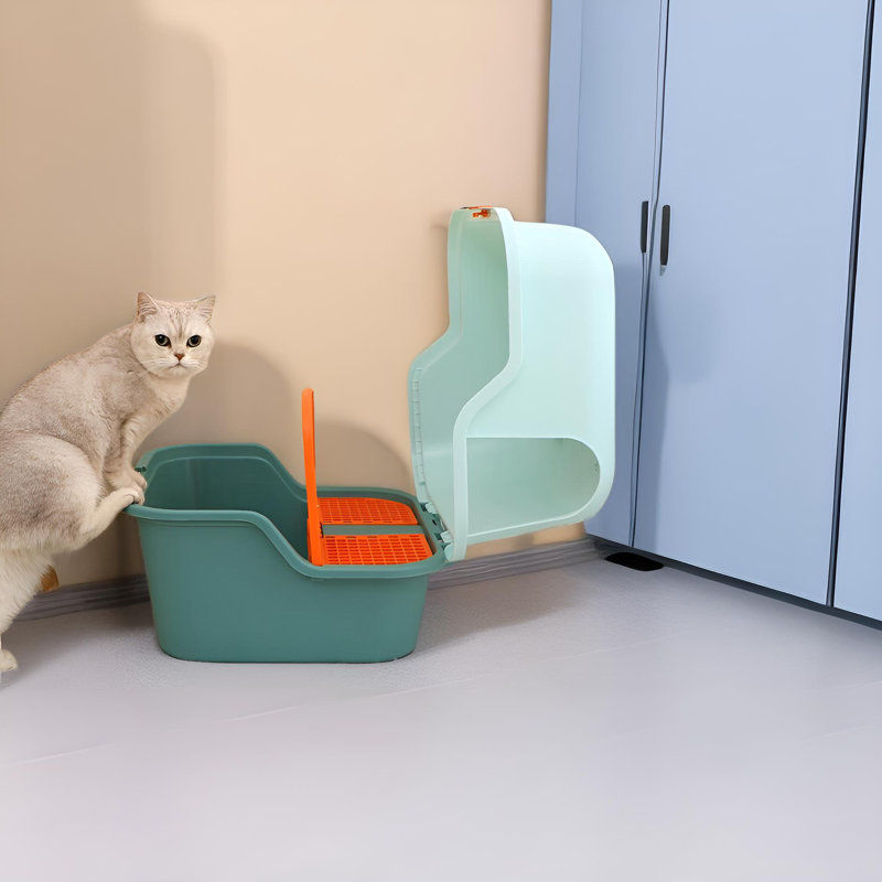 Cat litter supplies best sale